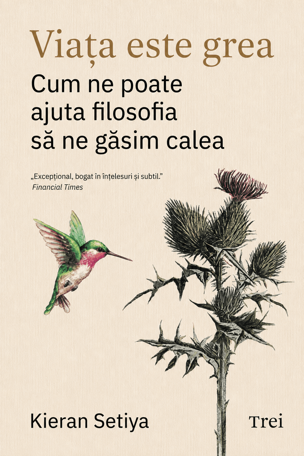 Viața este grea: cum ne poate ajuta filosofia să ne găsim calea